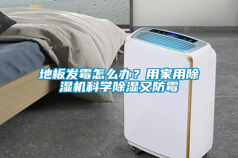 地板發(fā)霉怎么辦？用家用除濕機科學除濕又防霉