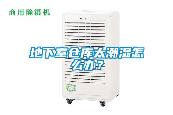 地下室倉(cāng)庫(kù)太潮濕怎么辦？