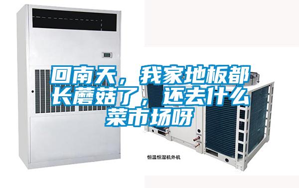 回南天，我家地板都長蘑菇了，還去什么菜市場呀