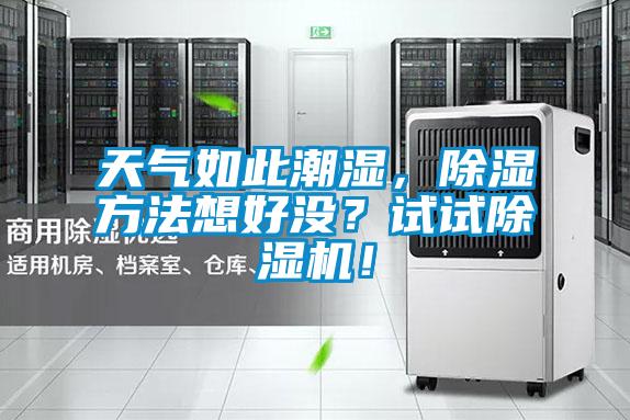 天氣如此潮濕，除濕方法想好沒？試試除濕機！