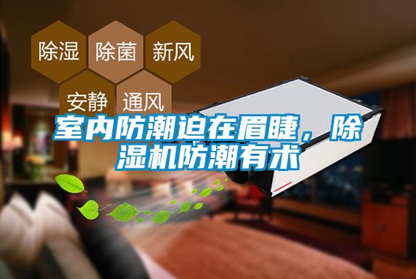 室內(nèi)防潮迫在眉睫，除濕機(jī)防潮有術(shù)