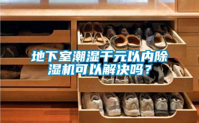 地下室潮濕千元以內(nèi)除濕機可以解決嗎？