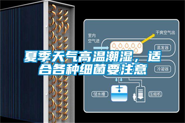 夏季天氣高溫潮濕，適合各種細(xì)菌要注意