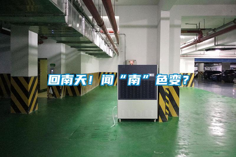 回南天！聞“南”色變？