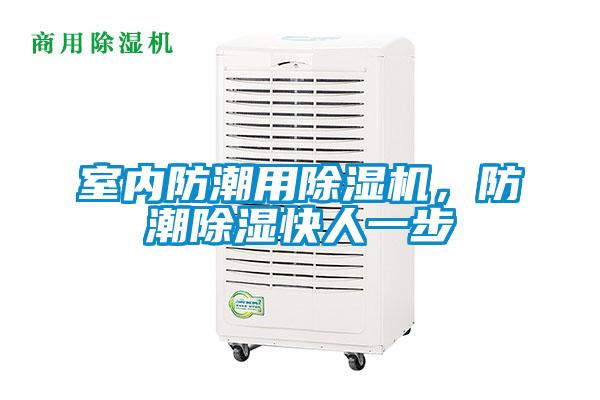 室內(nèi)防潮用除濕機(jī)，防潮除濕快人一步
