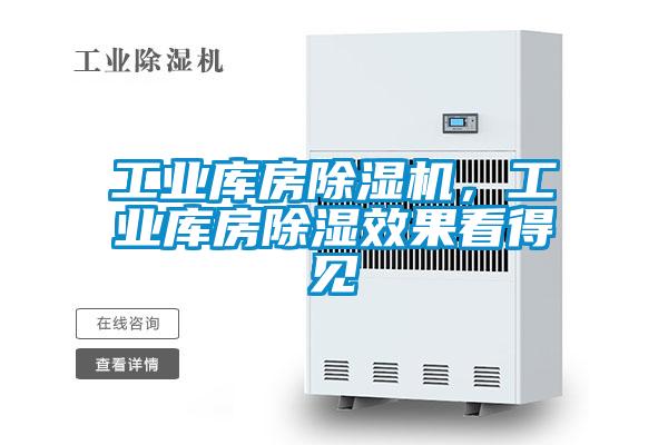 工業(yè)庫房除濕機，工業(yè)庫房除濕效果看得見