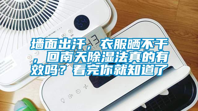 墻面出汗，衣服曬不干，回南天除濕法真的有效嗎？看完你就知道了