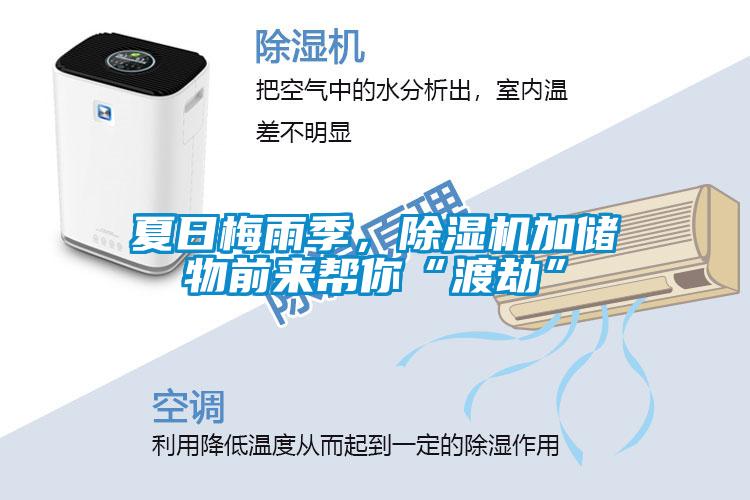 夏日梅雨季，除濕機(jī)加儲物前來幫你“渡劫”