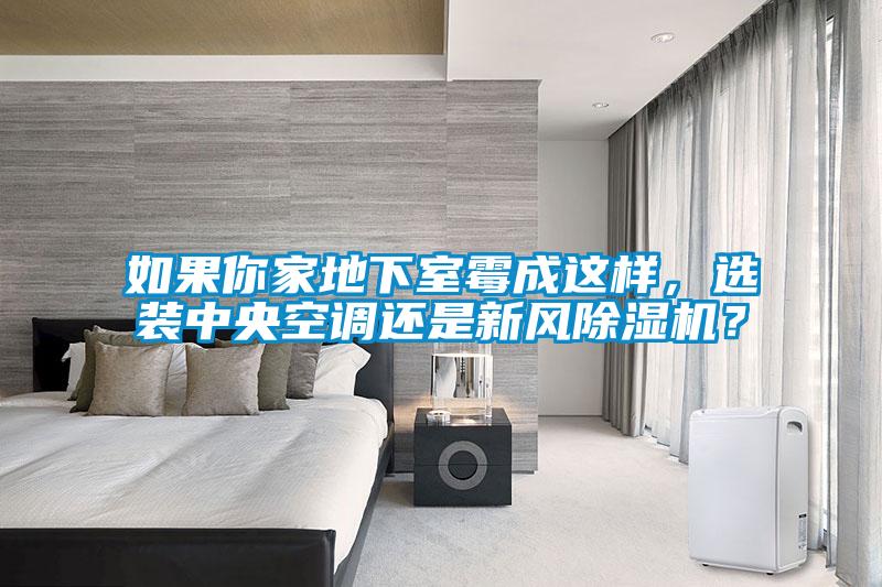 如果你家地下室霉成這樣，選裝中央空調還是新風除濕機？