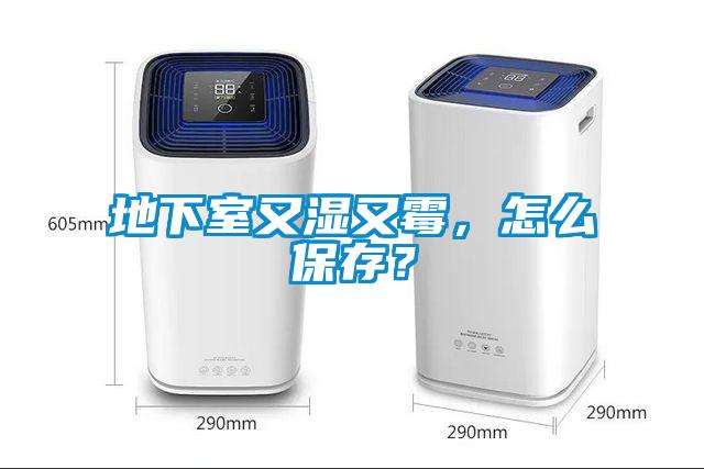 地下室又濕又霉，怎么保存？