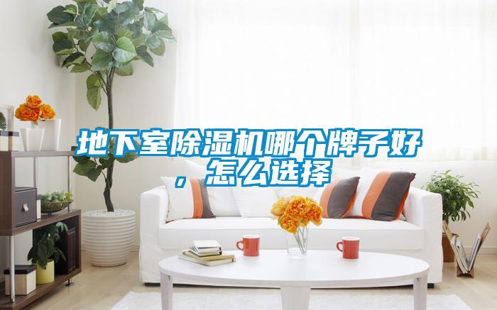 地下室除濕機(jī)哪個牌子好，怎么選擇