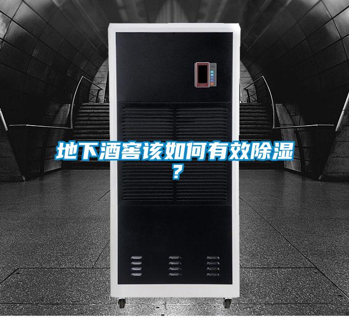地下酒窖該如何有效除濕？