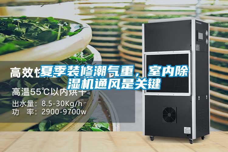 夏季裝修潮氣重，室內(nèi)除濕機(jī)通風(fēng)是關(guān)鍵