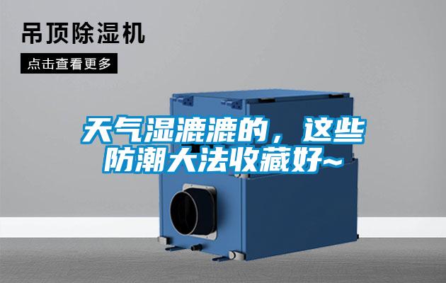 天氣濕漉漉的，這些防潮大法收藏好~