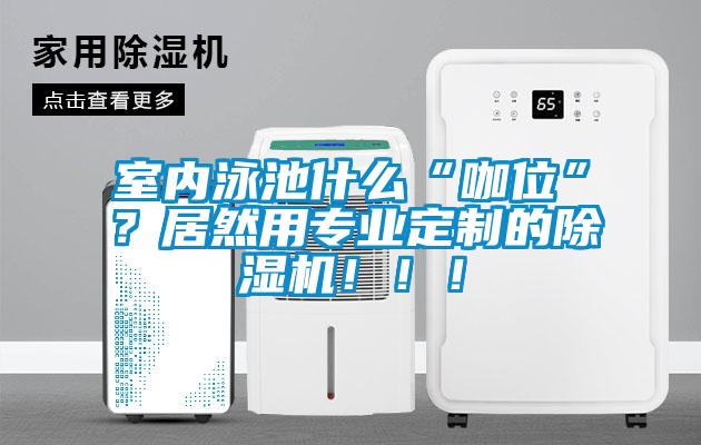 室內(nèi)泳池什么“咖位”？居然用專業(yè)定制的除濕機(jī)！?。?/></p>
						    <p style=