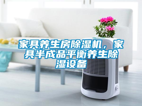 家具養(yǎng)生房除濕機(jī)，家具半成品平衡養(yǎng)生除濕設(shè)備