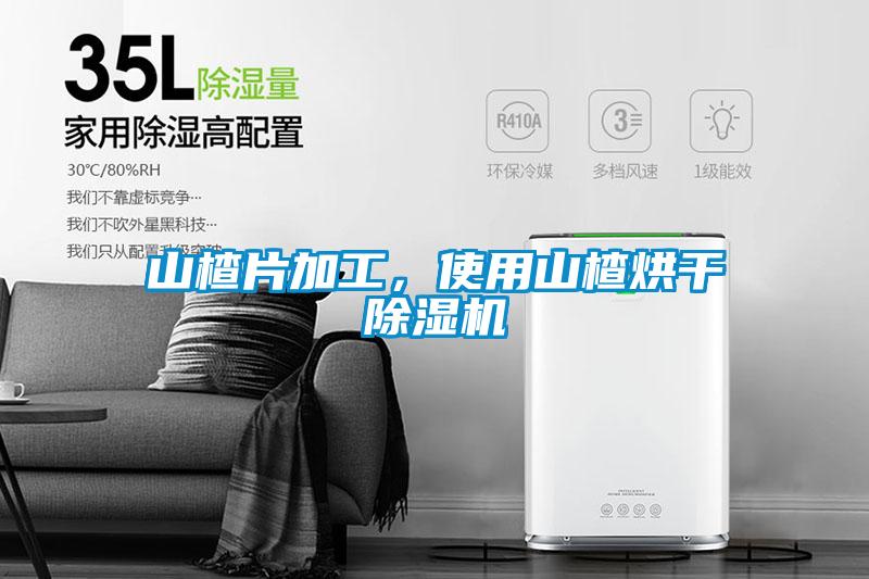 山楂片加工，使用山楂烘干除濕機(jī)