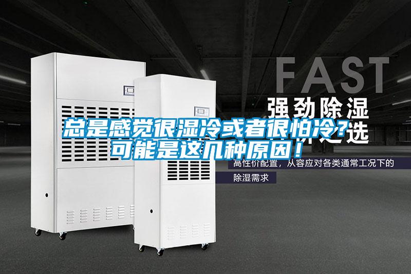 總是感覺很濕冷或者很怕冷？可能是這幾種原因！