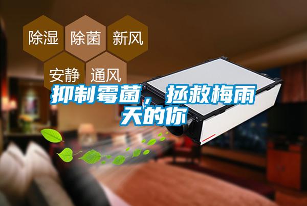 抑制霉菌，拯救梅雨天的你