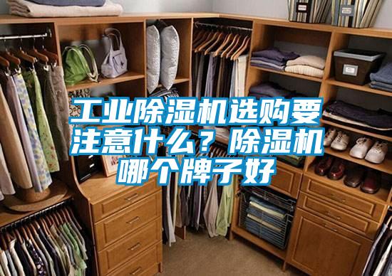 工業(yè)除濕機選購要注意什么？除濕機哪個牌子好