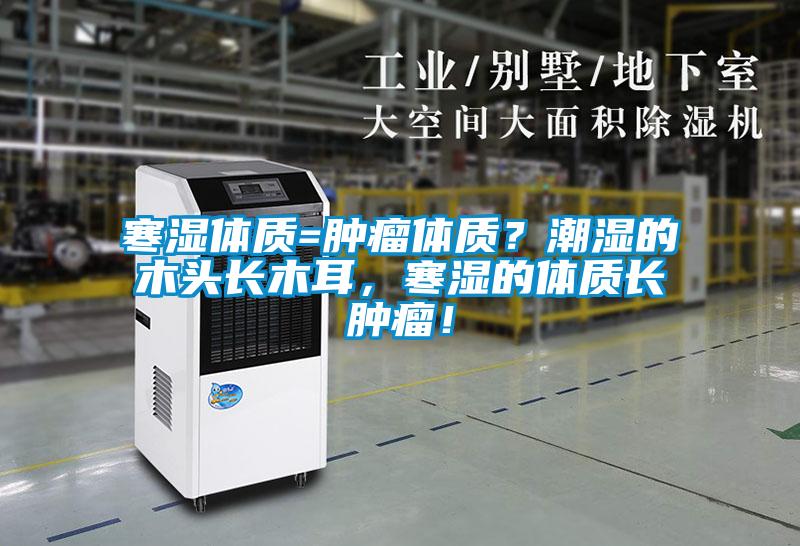 寒濕體質(zhì)=腫瘤體質(zhì)？潮濕的木頭長木耳，寒濕的體質(zhì)長腫瘤！