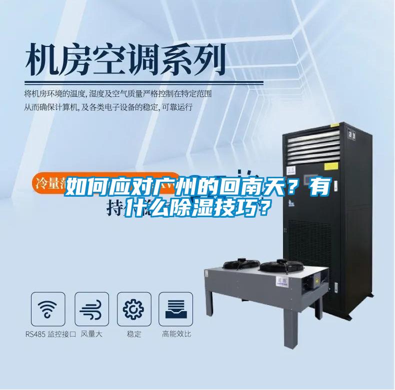 如何應(yīng)對(duì)廣州的回南天？有什么除濕技巧？