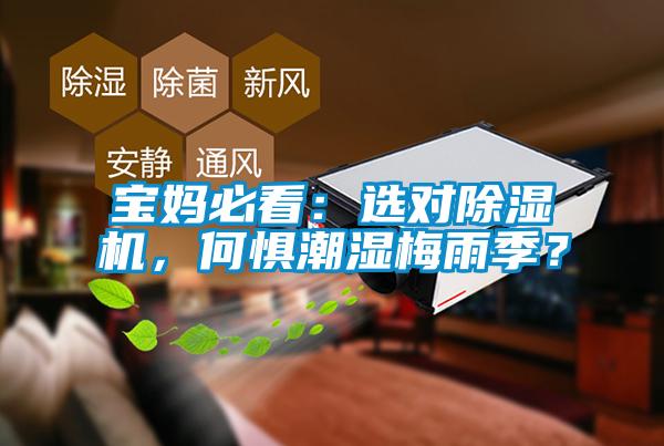 寶媽必看：選對(duì)除濕機(jī)，何懼潮濕梅雨季？