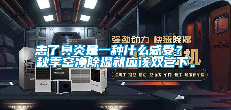 患了鼻炎是一種什么感受？ 秋季空凈除濕就應(yīng)該雙管下。