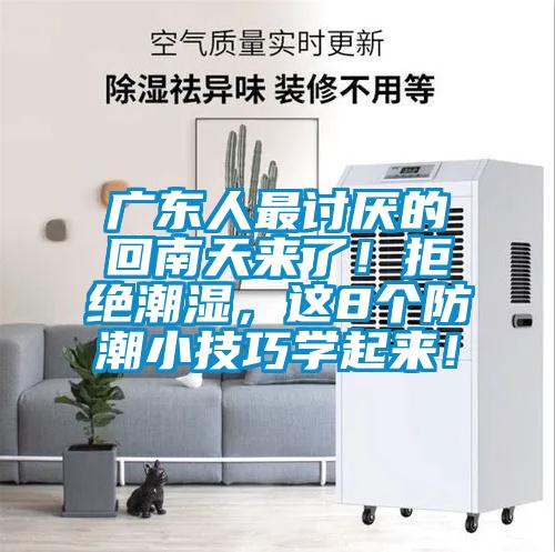 廣東人最討厭的回南天來了！拒絕潮濕，這8個(gè)防潮小技巧學(xué)起來！