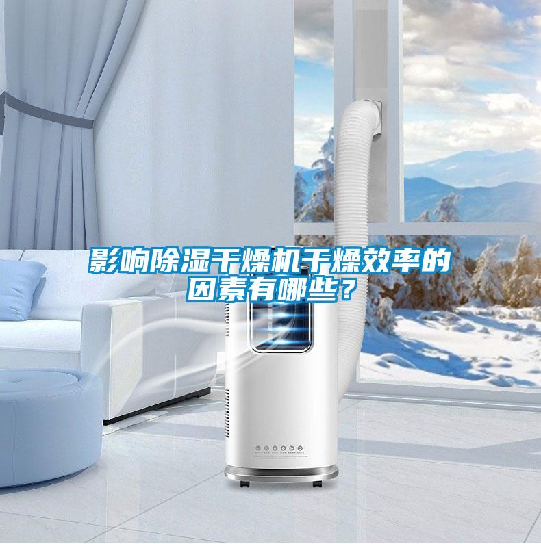 影響除濕干燥機(jī)干燥效率的因素有哪些？