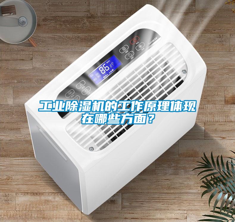 工業(yè)除濕機(jī)的工作原理體現(xiàn)在哪些方面？