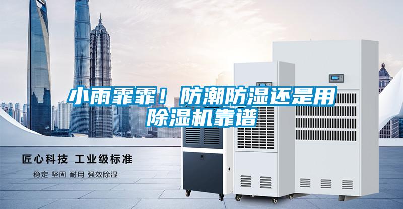 小雨霏霏！防潮防濕還是用除濕機(jī)靠譜