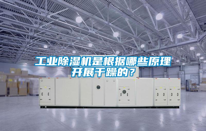 工業(yè)除濕機是根據(jù)哪些原理開展干躁的？