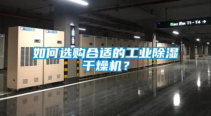 如何選購合適的工業(yè)除濕干燥機？