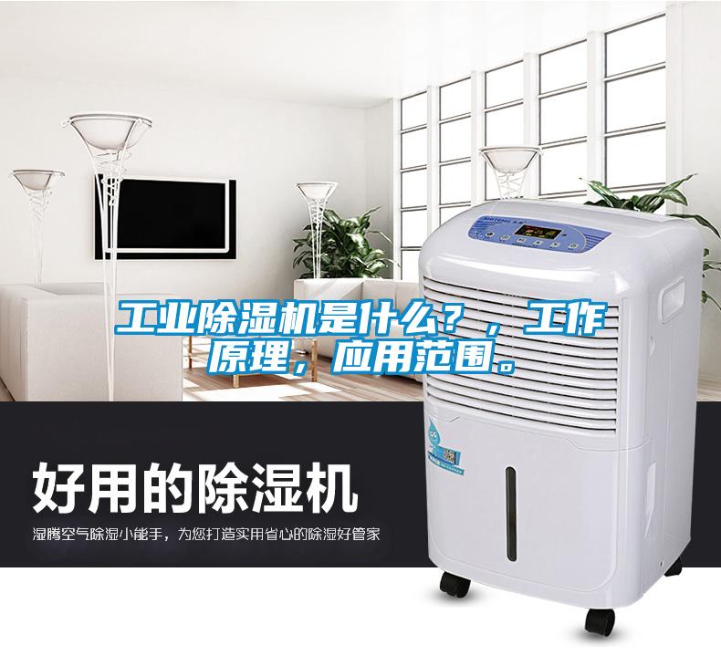 工業(yè)除濕機是什么？，工作原理，應(yīng)用范圍。