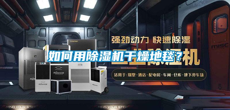 如何用除濕機(jī)干燥地毯？
