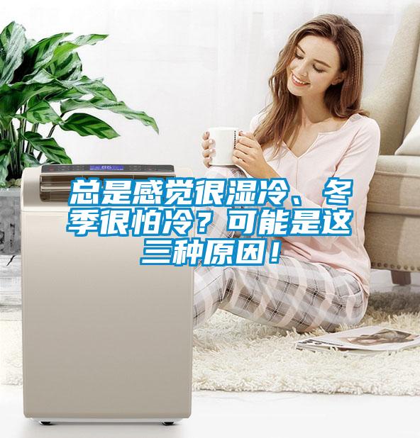 總是感覺很濕冷、冬季很怕冷？可能是這三種原因！