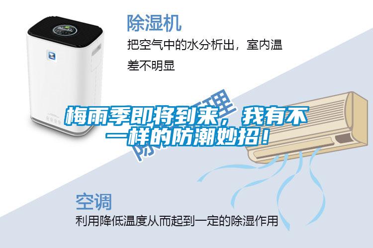 梅雨季即將到來(lái)，我有不一樣的防潮妙招！