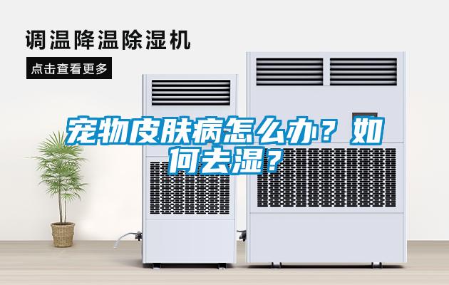 寵物皮膚病怎么辦？如何去濕？