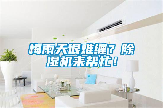 梅雨天很難纏？除濕機(jī)來(lái)幫忙！