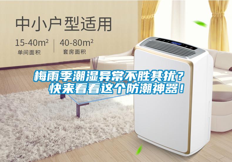 梅雨季潮濕異常不勝其擾？ 快來看看這個防潮神器！