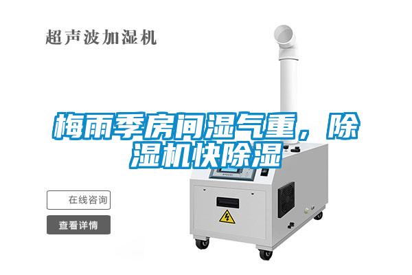 梅雨季房間濕氣重，除濕機快除濕