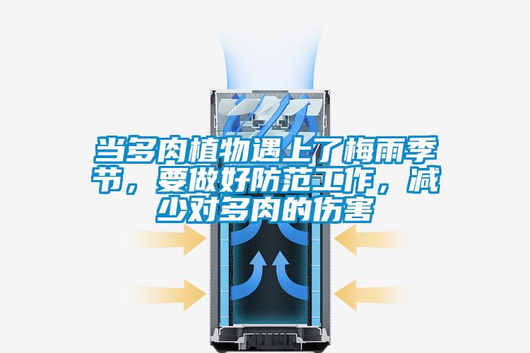 當(dāng)多肉植物遇上了梅雨季節(jié)，要做好防范工作，減少對多肉的傷害