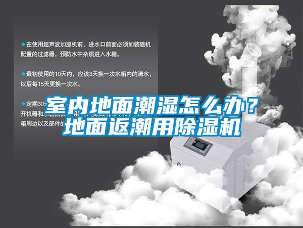 室內(nèi)地面潮濕怎么辦？地面返潮用除濕機(jī)