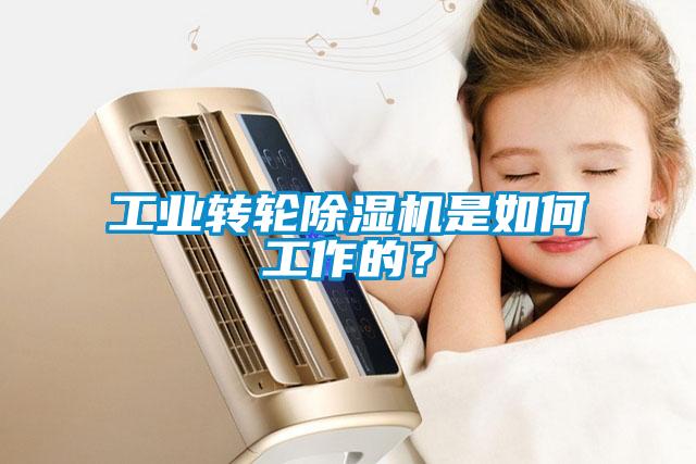 工業(yè)轉(zhuǎn)輪除濕機(jī)是如何工作的？