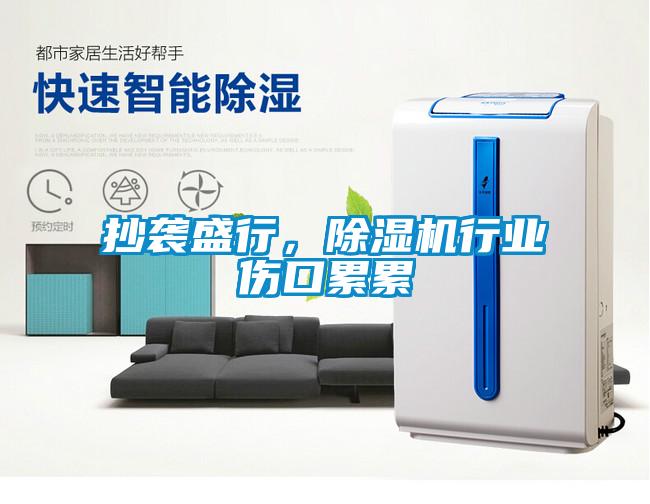 抄襲盛行，除濕機行業(yè)傷口累累