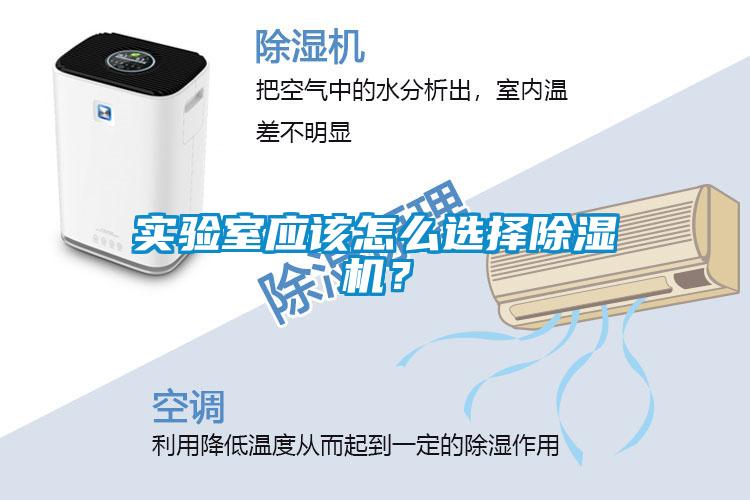 實驗室應(yīng)該怎么選擇除濕機？