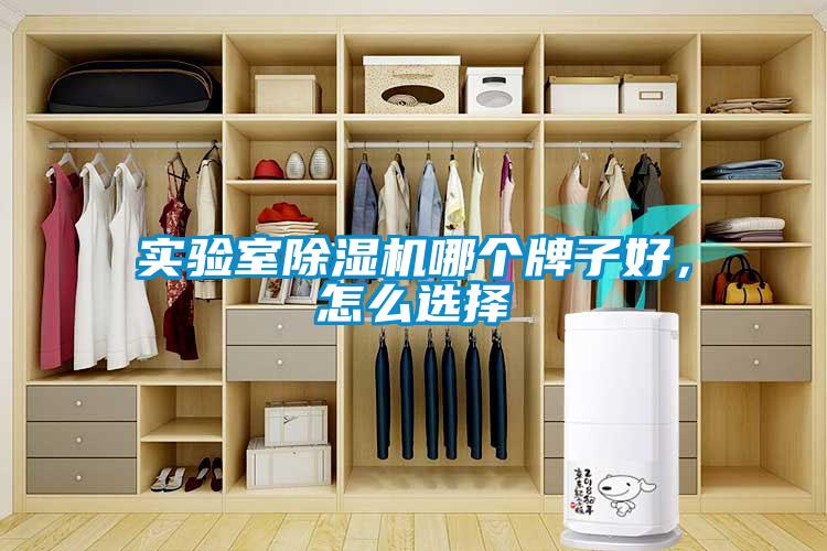 實驗室除濕機哪個牌子好，怎么選擇