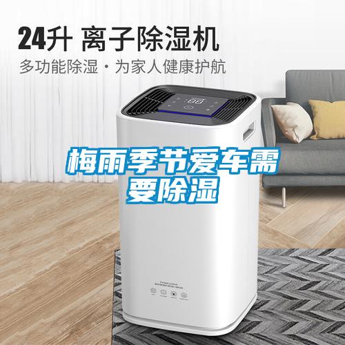 濕氣太重，大不如前！安詩曼除濕機還你健康好身體！