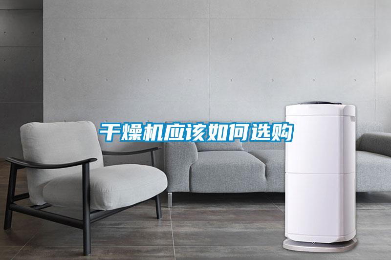 年年除濕年年濕，如何快速除濕？
